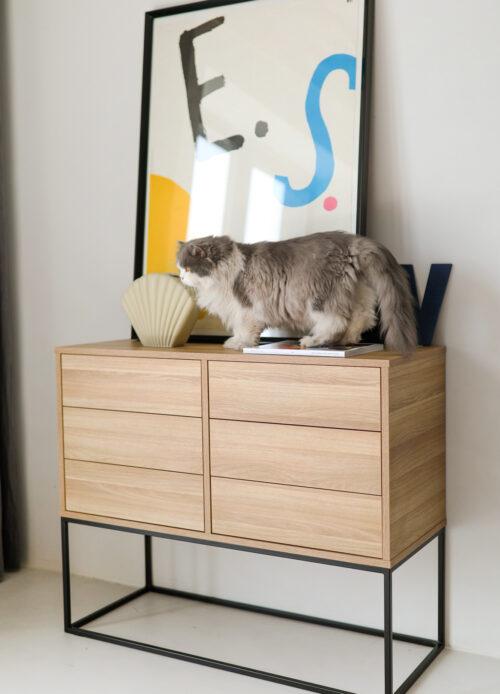 Komoda FEELINGS MINI szuflady
