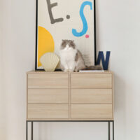 Wyprzedaż! Komoda FEELINGS sześć szuflad, kolor dębowy OD RĘKI