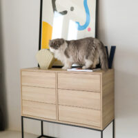 Wyprzedaż! Komoda FEELINGS sześć szuflad, kolor dębowy OD RĘKI